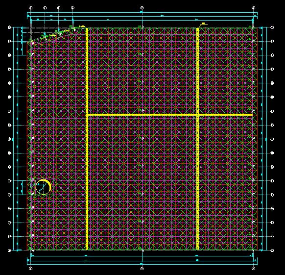 唐山东营金岭化工大王煤棚网架